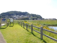 黒崎永田湿地自然公園