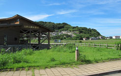 黒崎永田湿地自然公園