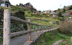 歴史の道